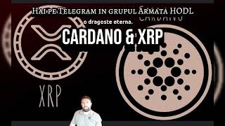 Cardano si XRP / O dragoste de neuitat #BaniDinCrypto #EducatieCrypto #Cardano #Xrp