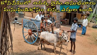 Small bullock cart for Grand Son in Konaseema !! NNL ALL IN ONE ||