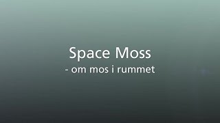 Space Moss - mos i rummet