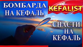 СНАСТЬ НА КЕФАЛЬ!  БОМБАРДА   ЛУЧШАЯ СНАСТЬ НА КЕФАЛЬ для рыбалки на лобань, пиленгаса, долгоноса