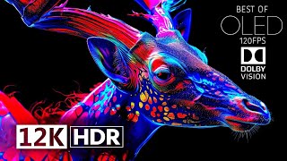 Best of Dolby Vision 12K HDR 120fps - Most Powerful Epic OLED