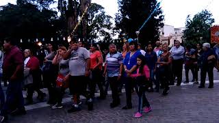 Procesión de peregrinos y devotos video 13