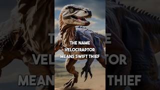 Unveiling the Velociraptor: A Closer Look #Velociraptor #Dinosaurs #Paleontology #Science