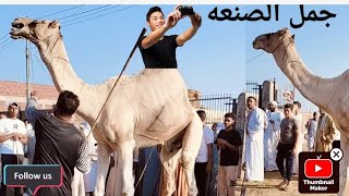 انزلوا على مسؤوليتي من داخل سوق الجمال 🐪🇪🇬💪