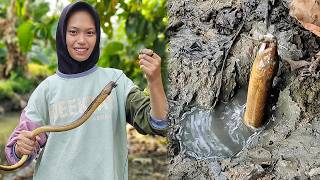 Mancing Belut Di Spot Sungai Hasilnya Jos Gandos, EPS 51 #MainanAyu