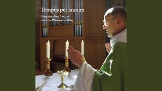 Introit: In voluntate tua