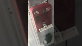 Pulling The fire alarm with a stick ￼