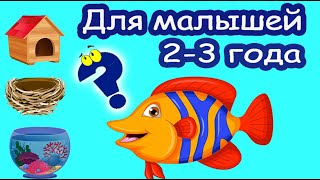 Развивающее видео для детей 2-3 лет. Развитие мышления. Головоломки для малышей обучающие