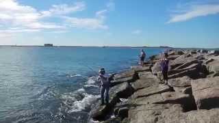 Landing a King Mackerel on the Fly