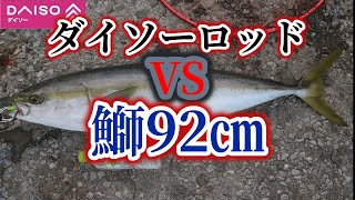 【ダイソー釣具】河口部ライトショアジギングで青物とガチンコ対決！！