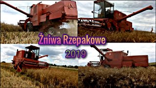 🔥Żniwa rzepakowe 2019🔥‼️