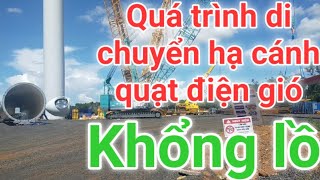 Quá Trình Vận Chuyển Hạ Cánh Quạt Điện Gió Khổng Lồ - Điện Từ Thiên Nhiên #2 | BumXuTV