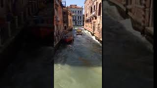 Venice Ambulance