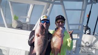 Fishing Frenzy With bonefish sailfish bass and more with - Peter Miller Fishing