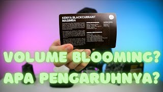 VOLUME BLOOMING, APA PENGARUHNYA?? | MINUM KOPI RASA BLACKCURRANT, ENAK BANGET!