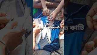 How to cut fish sitting on a boat#short# viral#natural vlog#short video#