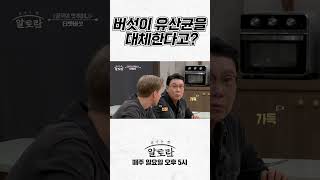 “말도 안 돼!” 버섯이 유산균 대체한다고? 노벨상감 버섯?! | 면역력 키우는 버섯 밥상