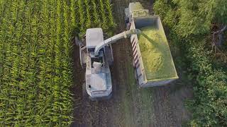 Fairely Fine Ag Chopping Silage