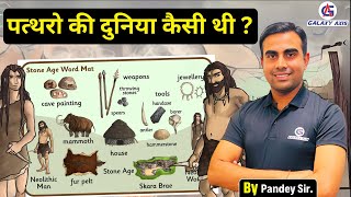 Class 3 || History  (इतिहास)  || Stone Age || पत्थरों की दुनिया कैसी थी ?? || By Pandey Sir