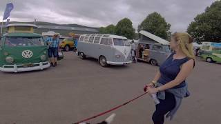 Busfest 2018 Vdubs & Rats