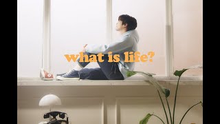 Nive - What Is Life?