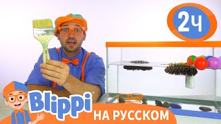 Утонет или всплывёт? Что тяжелее? | Изучай этот мир вместе с Блиппи | Blippi Russian