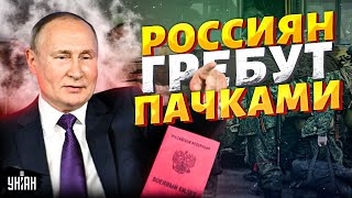 Зачистка Москвы: россиян гребут пачками на Курск. Путин отправляет армию на убой