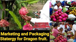 ड्रैगन फ्रूट अब सीधा फार्म से आपके घर पर वह भी Whole sale रेट पर|Dragon fruit direct to consumers 🙂