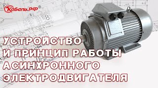 Устройство асинхронного электродвигателя