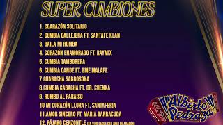 Alberto Pedraza - Super Cumbiones (Mix 2024)