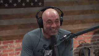 Joe Rogan  - How to become successful in life