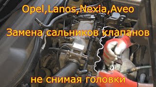 Замена сальников клапанов без снятия ГБЦ,Opel,Lanos,Aveo,Nexia