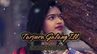 Tarajura Galang ill (Santali Best  Lofi 💞 Song) J.murmu Official//. (Soloved+Reverb)Song#!.....