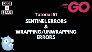 Sentinel Errors and Error Wrapping/Unwrapping in Go with Code Examples