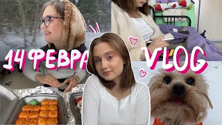 14 февраля || тихий влог