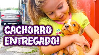 Día de ADOPCIONES! 😍 repartiendo CACHORROS por Costa Rica