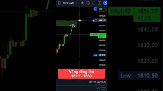 Vụ việc Israel - Palestine tác động tới Vàng và Dầu như nào? #tradeforex