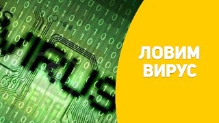 Внимание! Вирус халявщика. Компьютерный вирус! Как удалить вирус?