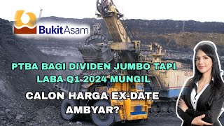 HASIL RUPS PTBA BAGI DIVIDEN JUMBO 398 YIELD 13,5%, ADA ANCAMAN DIBALIK DIVIDENNYA