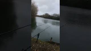 Lewis is carp fishing in rye #carpfishing #fishing #carp #fish #fishingreel #casting #fishingrod