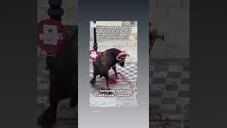 #bull #bullfighting #animal #animals #animallover #new #news #latestnews #shorts #viralvideo #video