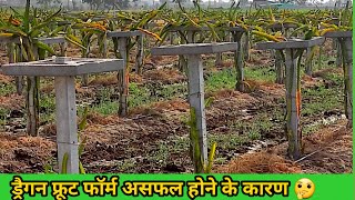 Why your Dragon Fruit Plants are not Growing Properly|Failed Dragon Fruit Farms Stories