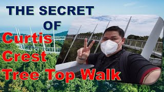 The Secret of Curtis Crest Tree Top  Walk Penang Hill / Jason JS @ja5onjs