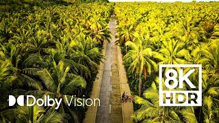 1000 STUNNING PLACES DOLBY VISION™ 8K HDR