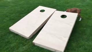 DIY Corn Hole Game