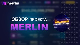 Merlin - Кем был проведен аудит Merl и какие выводы из этого были сделаны?