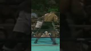 Boxing beatdowns (part 3)