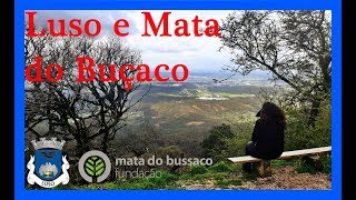 Passeio pelo Luso e Mata do Buçaco!