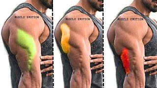 TOP 4 TRICEPS WORKOUT AT GYM / LE TOP 4 EXERCISES MUSUCLATION TRICEPS