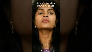 Naturally black hair #short #shorts #shortvideo #remedy #blackhair